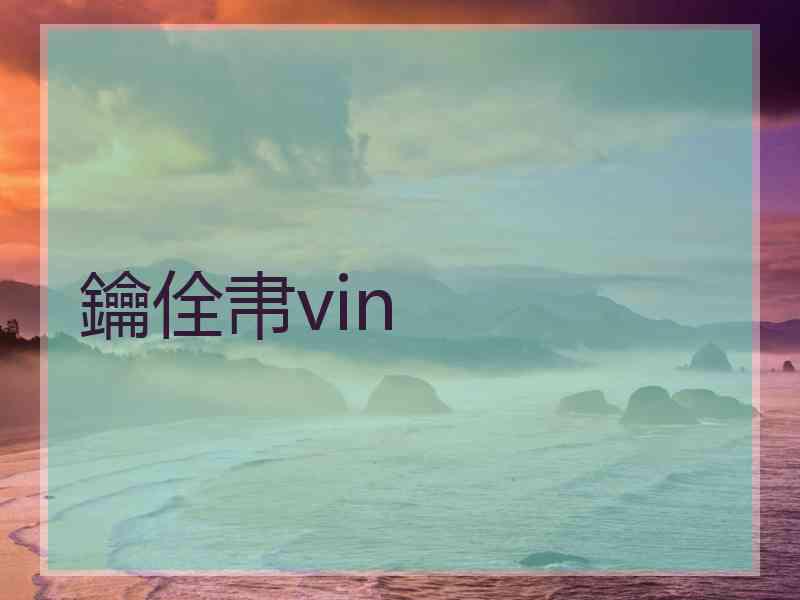 鑰佺帇vin