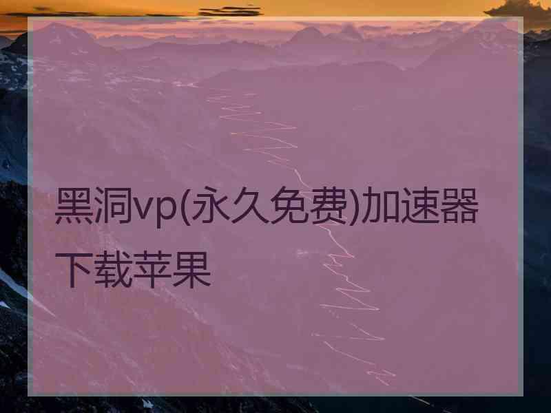 黑洞vp(永久免费)加速器下载苹果