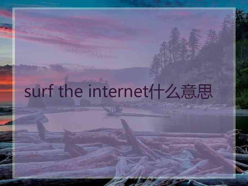 surf the internet什么意思