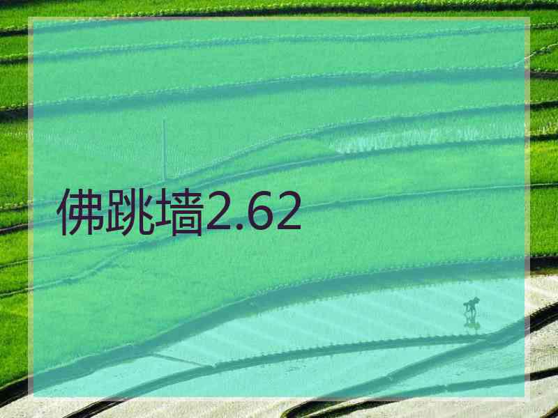 佛跳墙2.62