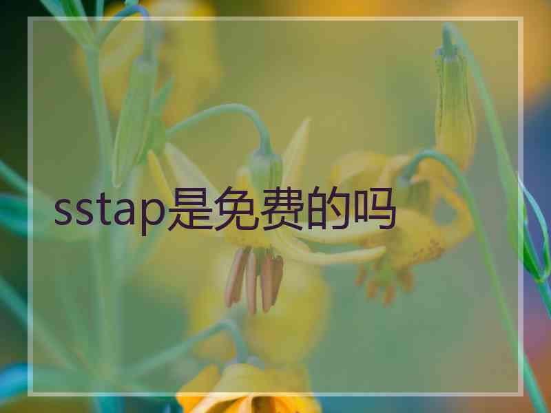 sstap是免费的吗