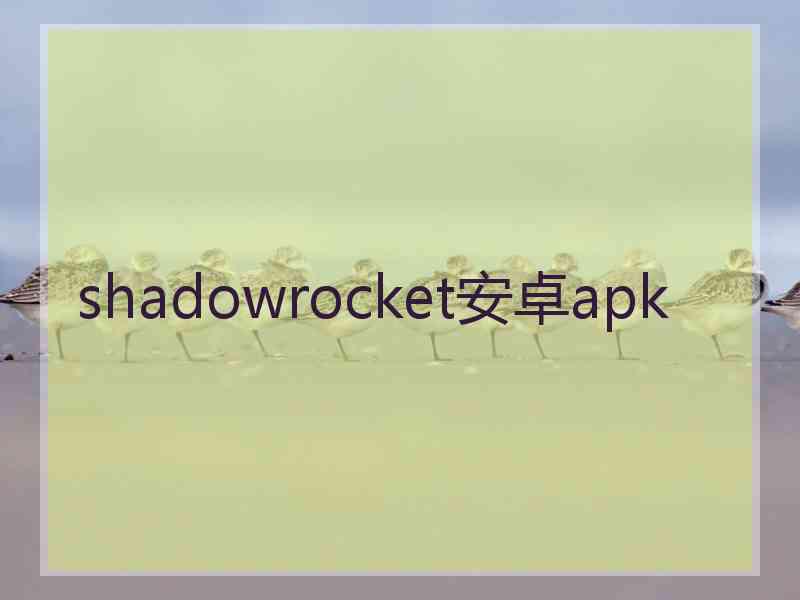 shadowrocket安卓apk