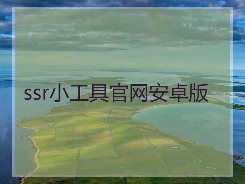 ssr小工具官网安卓版