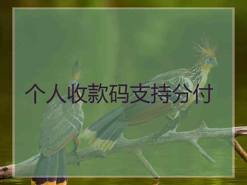 个人收款码支持分付