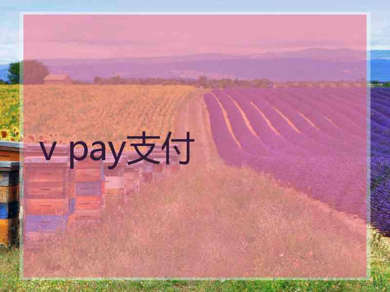 v pay支付