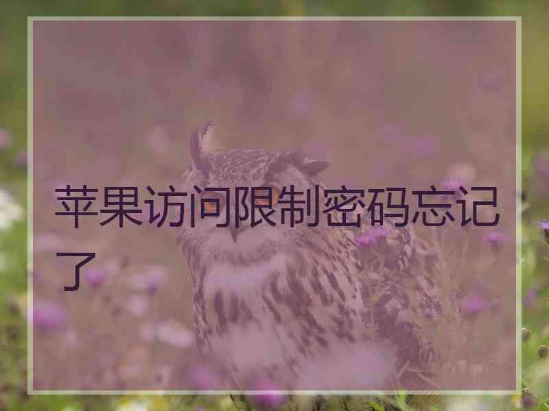 苹果访问限制密码忘记了