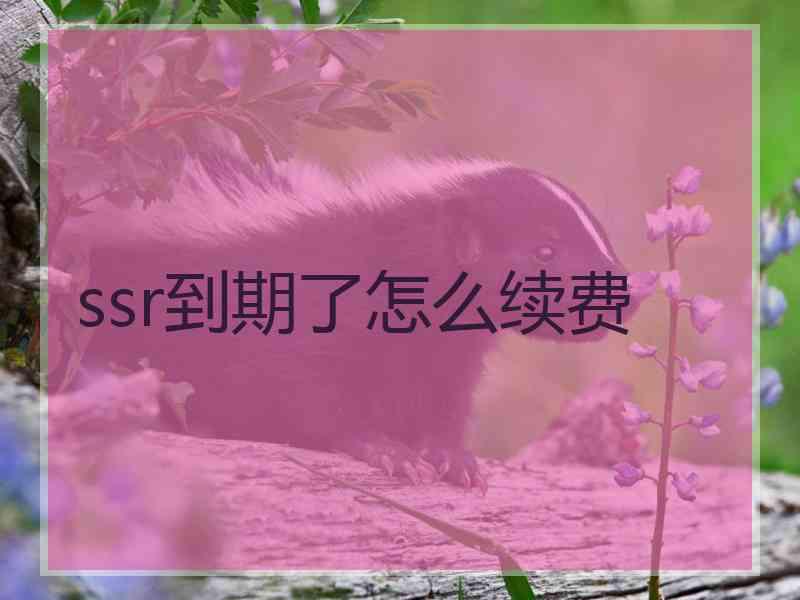 ssr到期了怎么续费