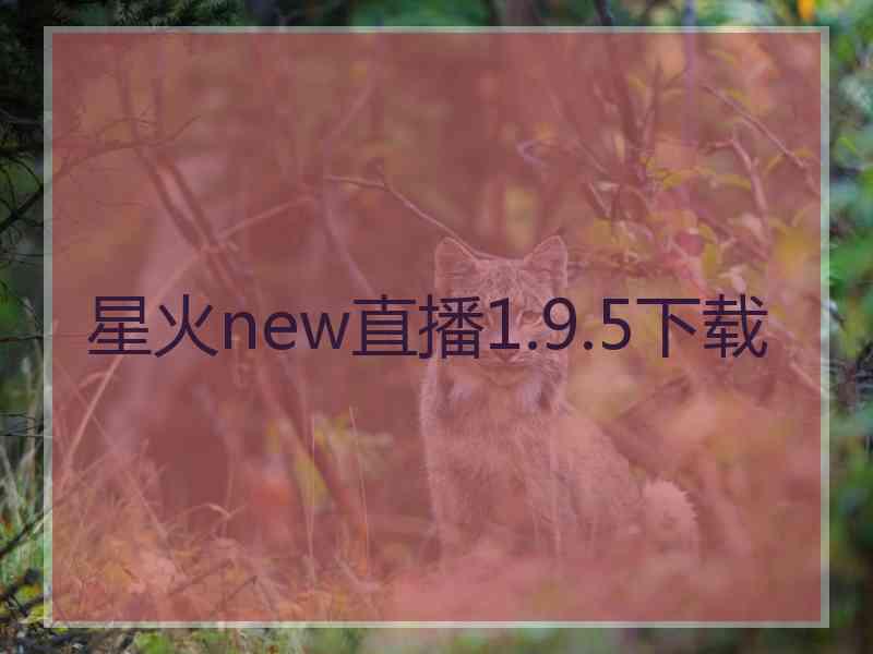 星火new直播1.9.5下载