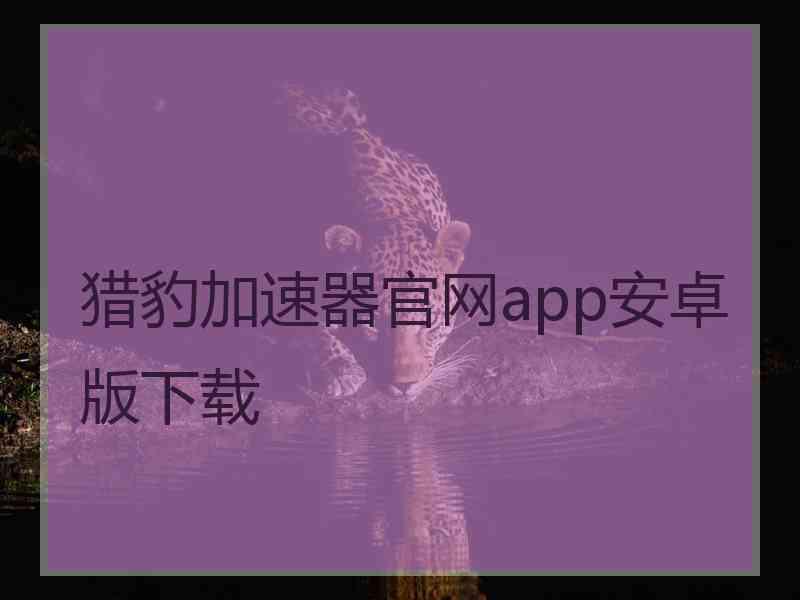 猎豹加速器官网app安卓版下载