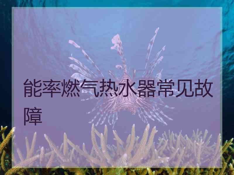 能率燃气热水器常见故障