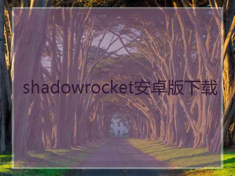 shadowrocket安卓版下载