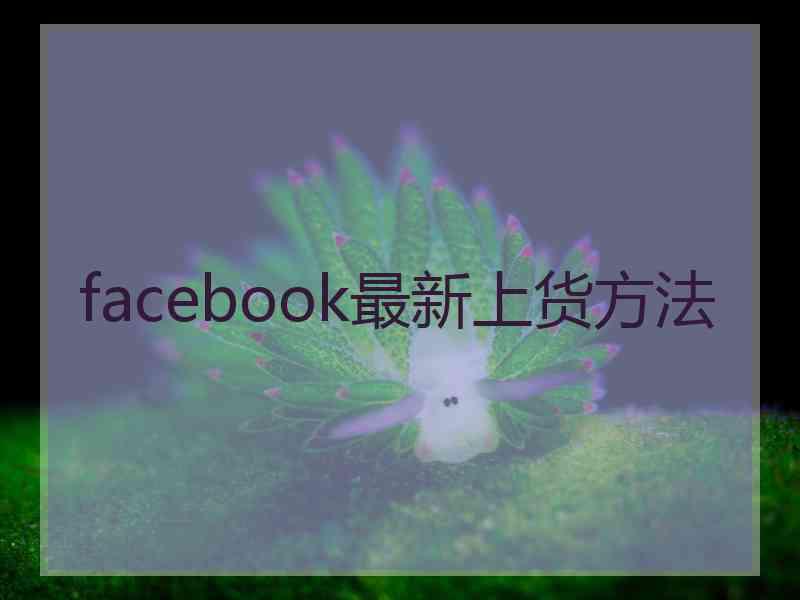 facebook最新上货方法