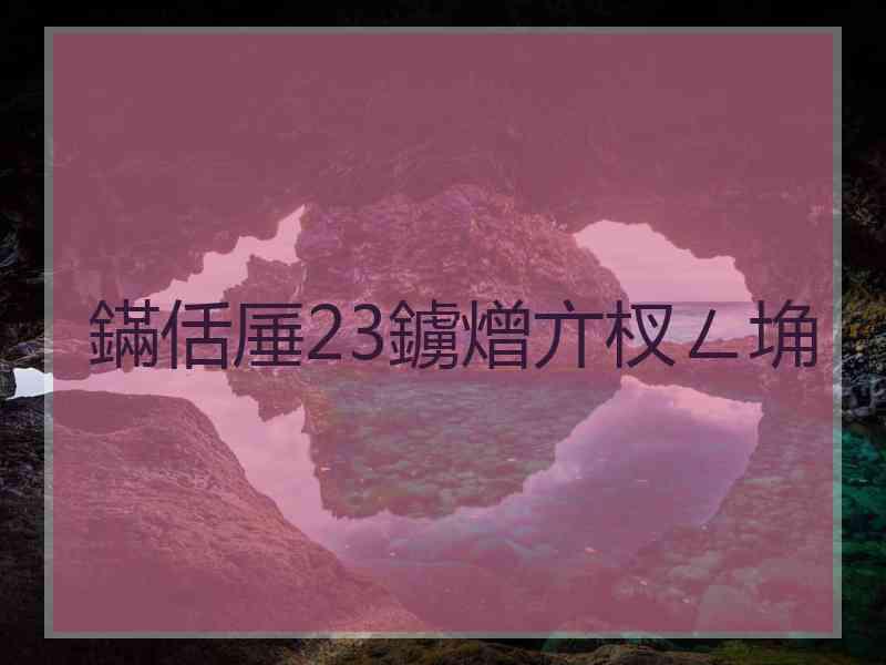 鏋佸厜23鐪熷亣杈ㄥ埆