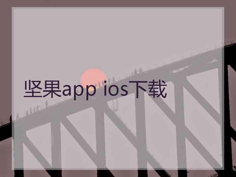 坚果app ios下载