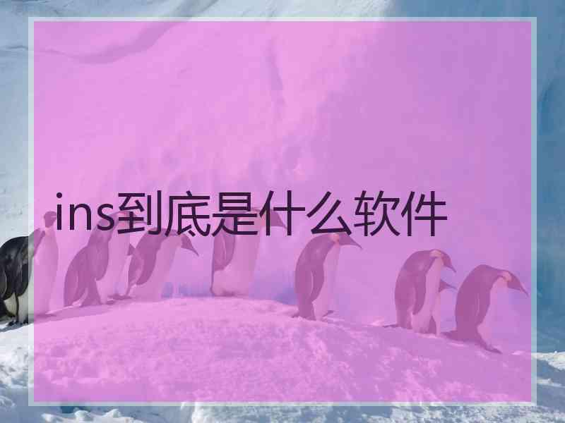 ins到底是什么软件