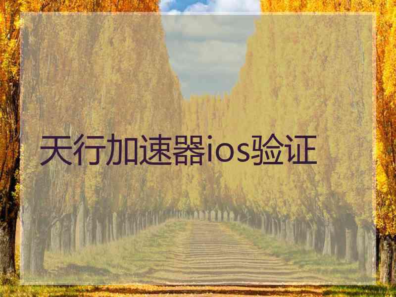 天行加速器ios验证