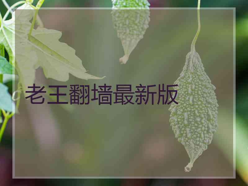 老王翻墙最新版