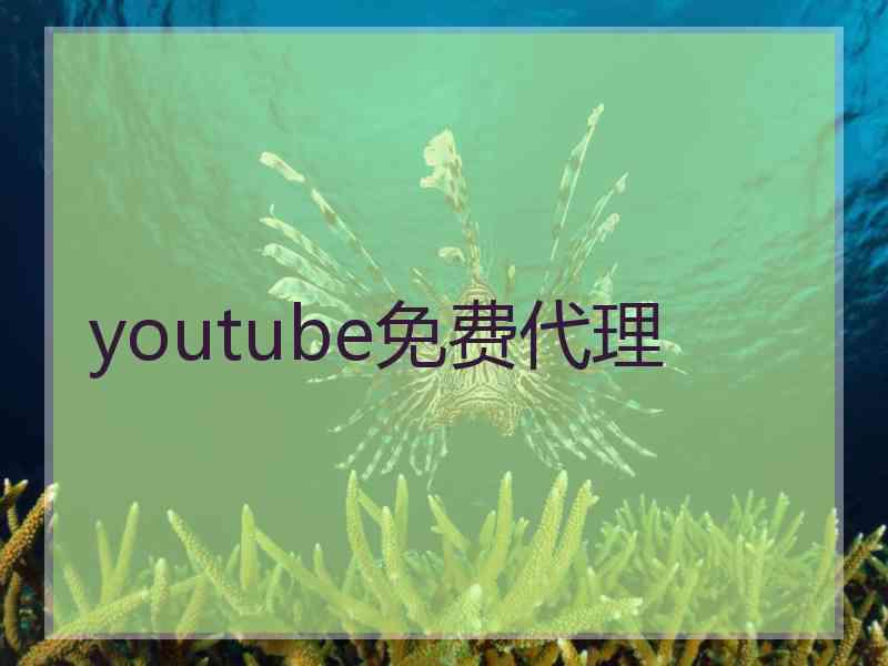 youtube免费代理