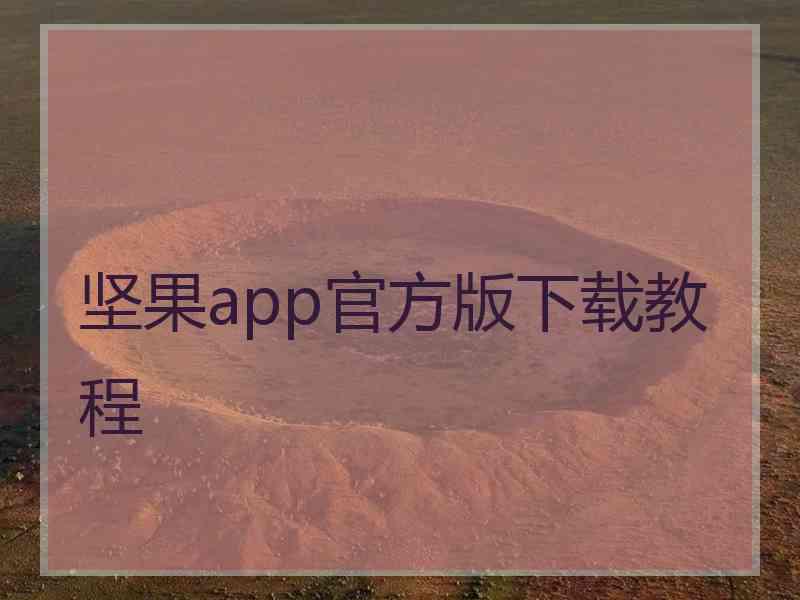 坚果app官方版下载教程