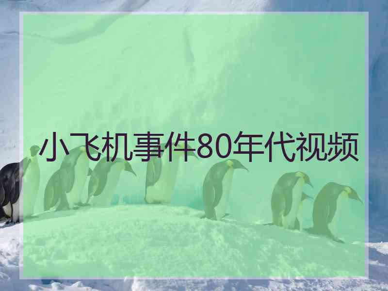 小飞机事件80年代视频