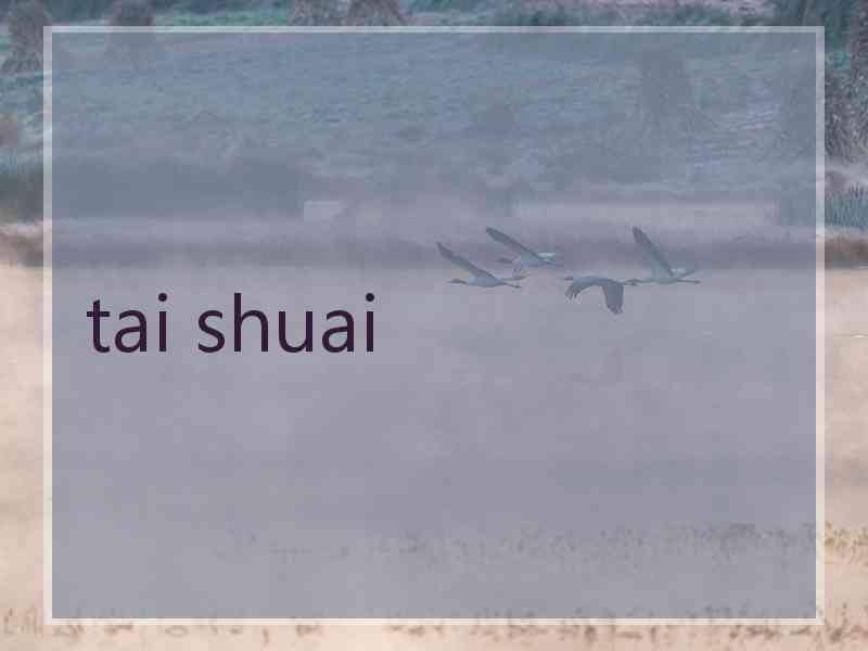 tai shuai