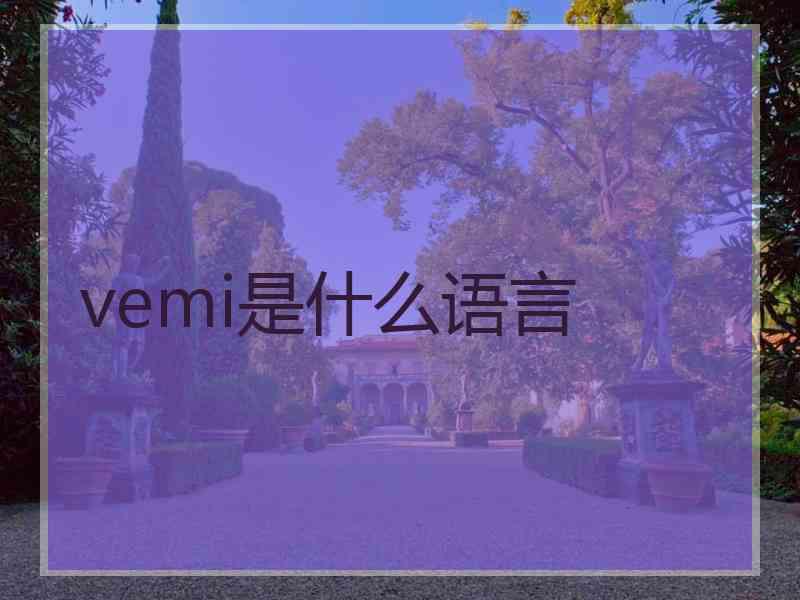 vemi是什么语言