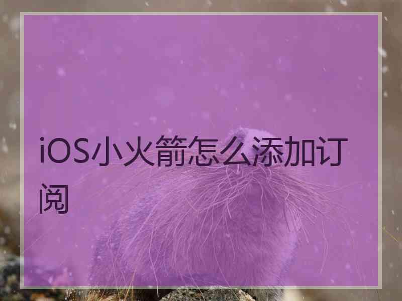 iOS小火箭怎么添加订阅