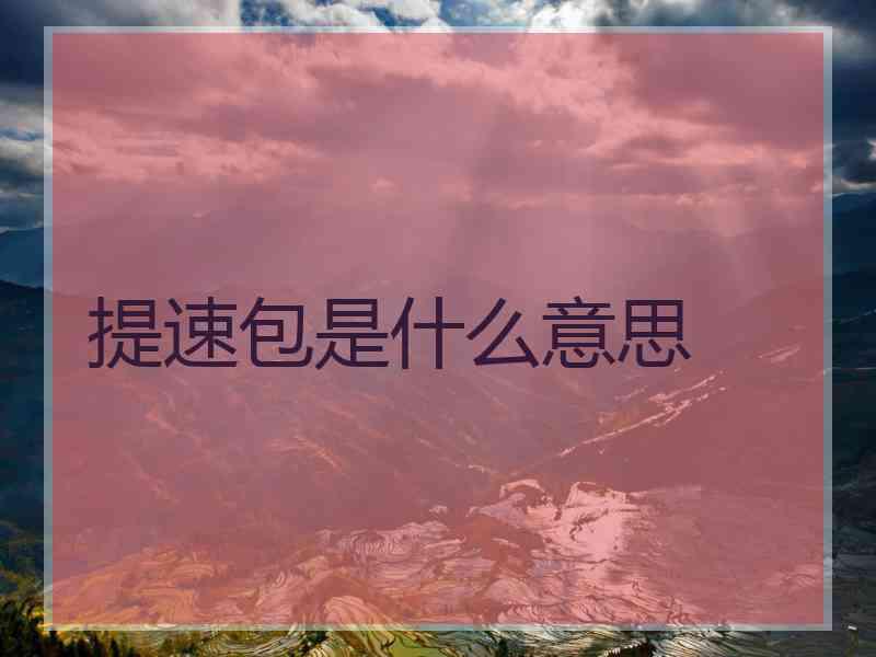 提速包是什么意思