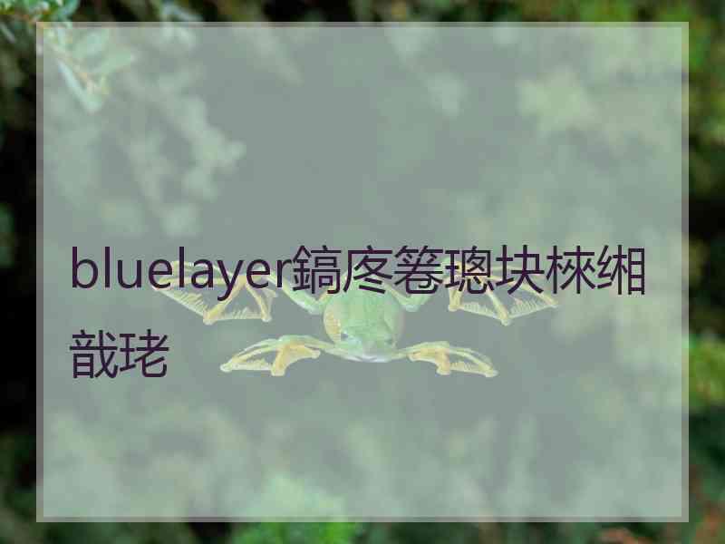 bluelayer鎬庝箞璁块棶缃戠珯