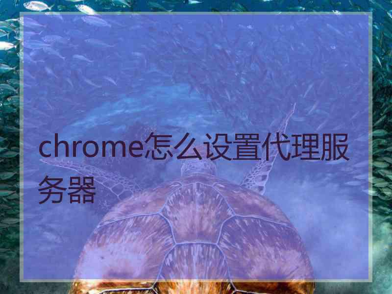 chrome怎么设置代理服务器