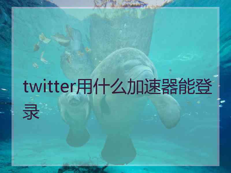 twitter用什么加速器能登录