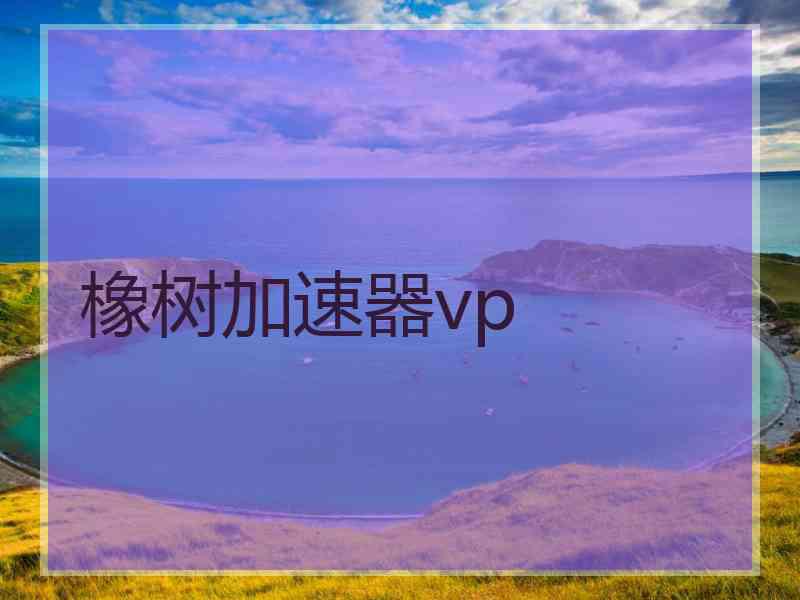 橡树加速器vp