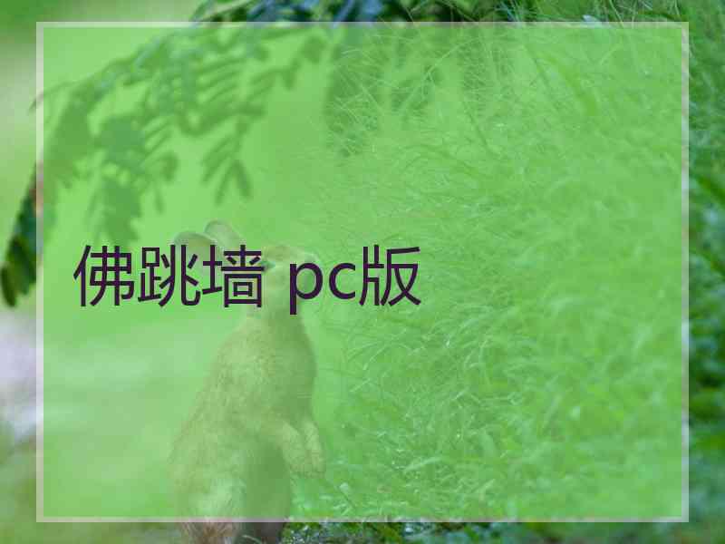 佛跳墙 pc版