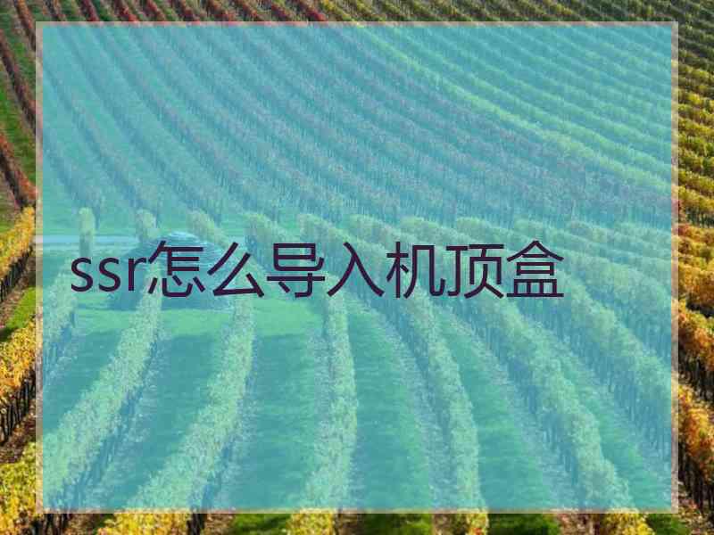 ssr怎么导入机顶盒