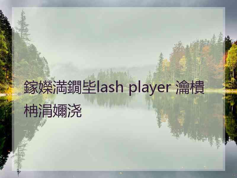 鎵嬫満鐗坒lash player 瀹樻柟涓嬭浇