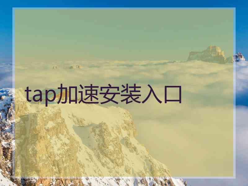 tap加速安装入口