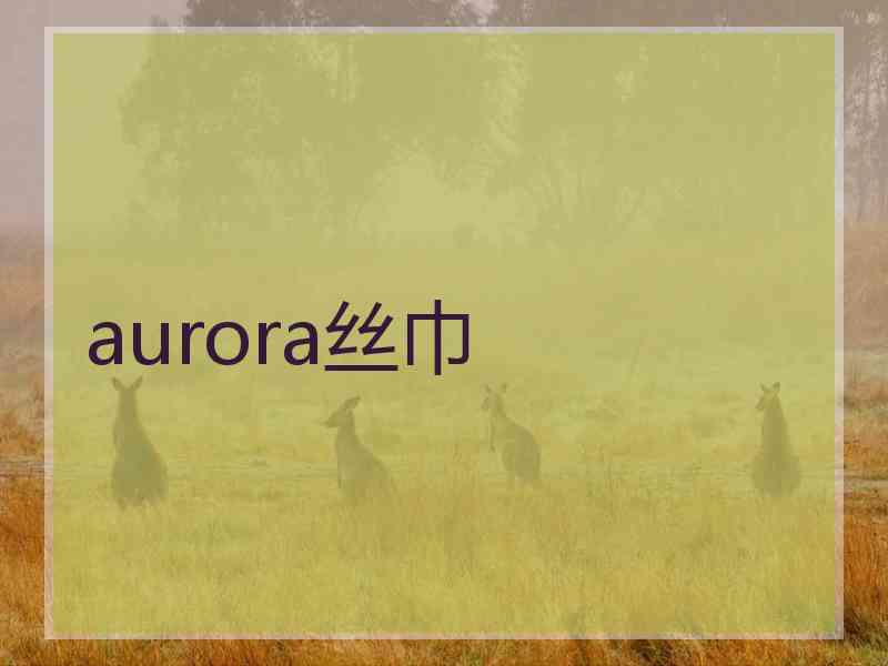 aurora丝巾