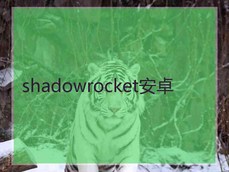 shadowrocket安卓