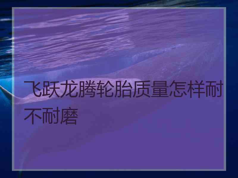 飞跃龙腾轮胎质量怎样耐不耐磨