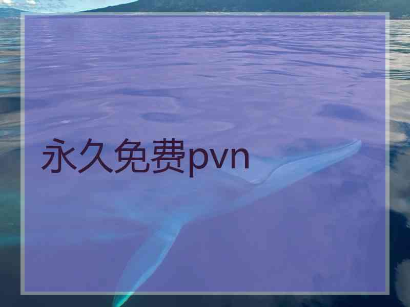 永久免费pvn