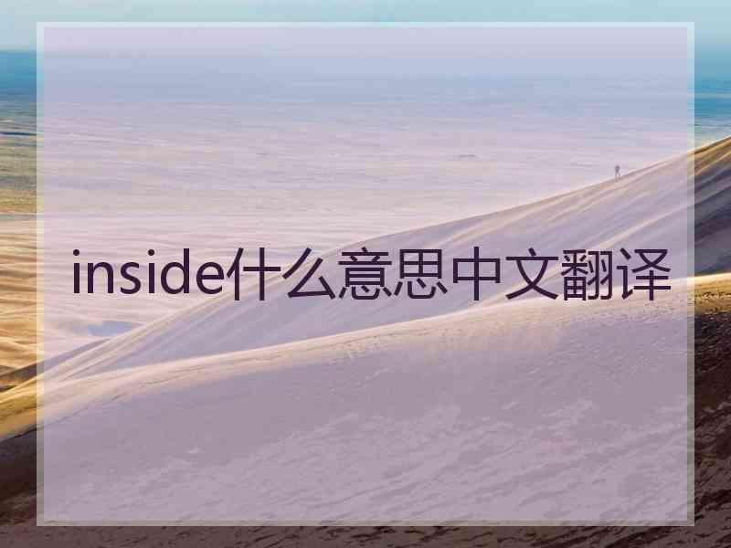 inside什么意思中文翻译