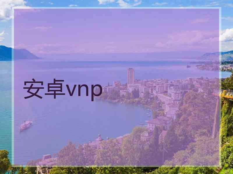 安卓vnp