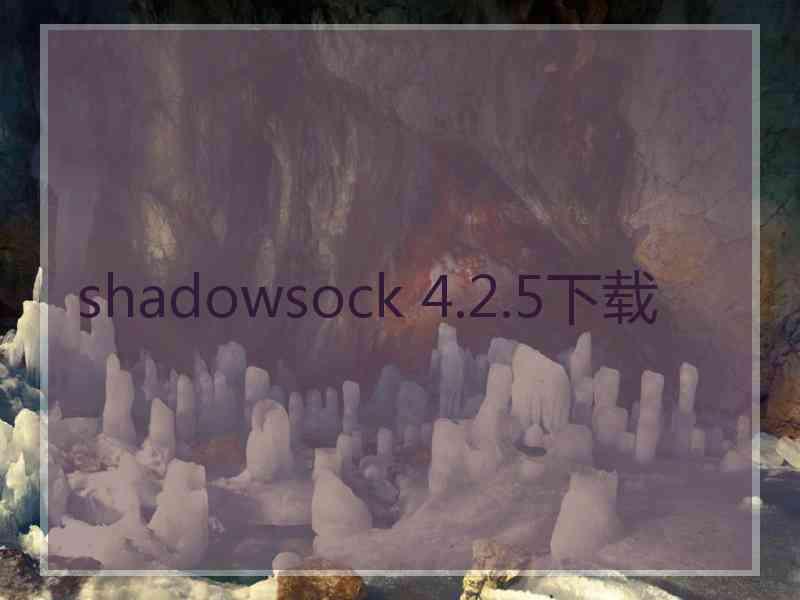 shadowsock 4.2.5下载