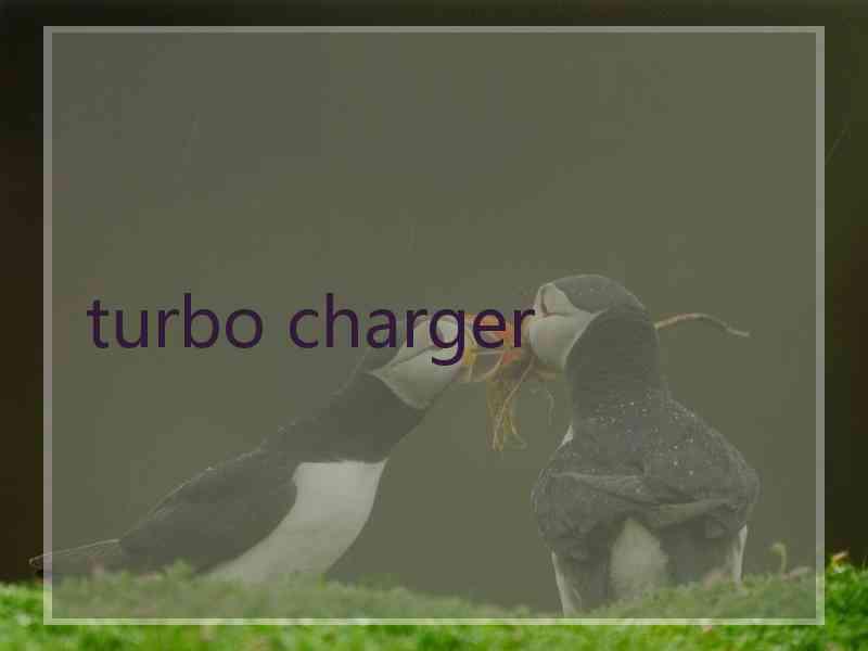 turbo charger