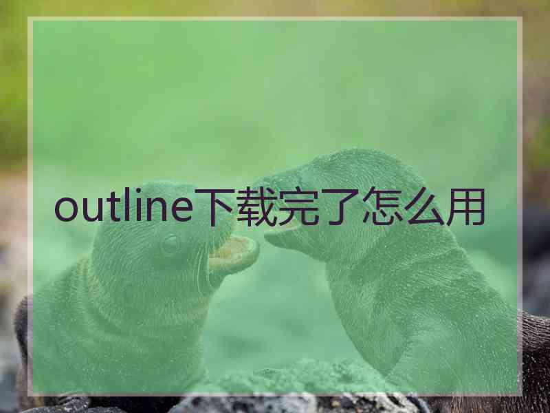 outline下载完了怎么用