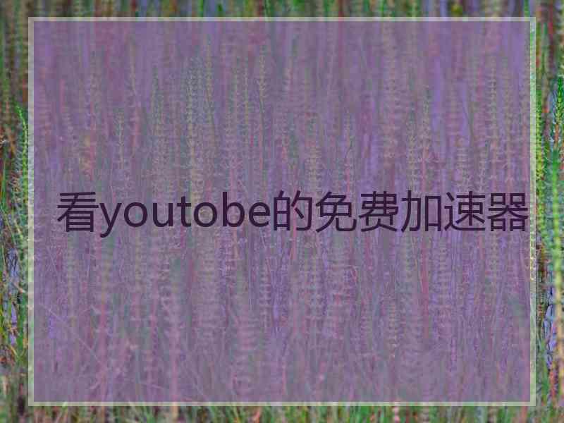 看youtobe的免费加速器