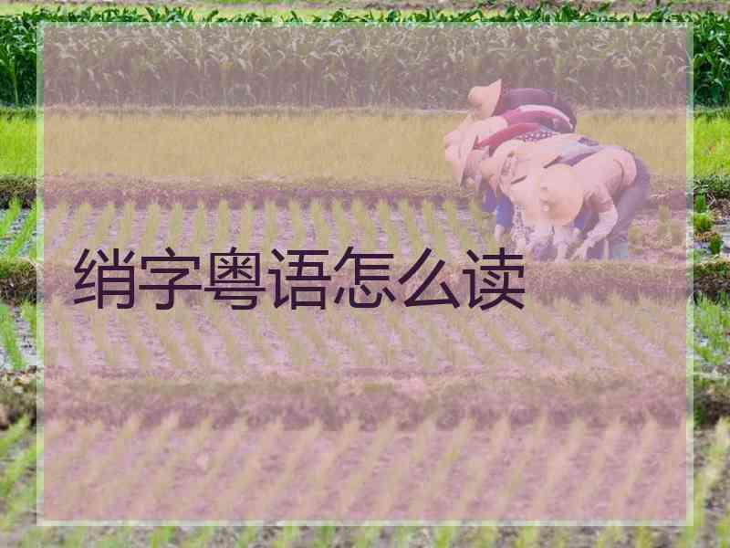 绡字粤语怎么读