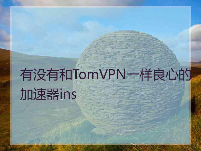 有没有和TomVPN一样良心的加速器ins