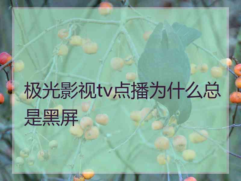 极光影视tv点播为什么总是黑屏