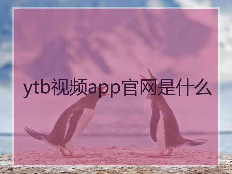 ytb视频app官网是什么